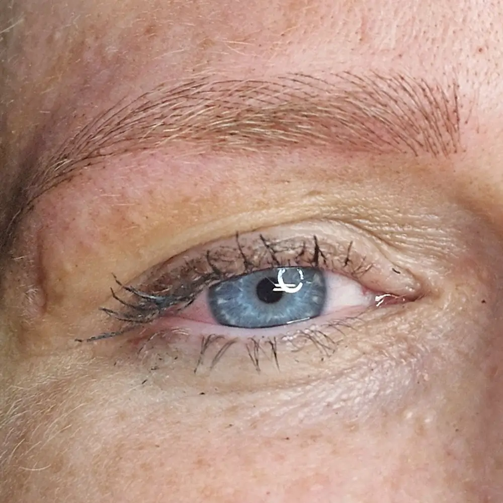 Pmu • 100 Days Challenge